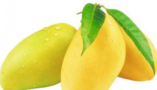 Sau 10 năm đàm phán, Việt Nam sắp có lô xoài đầu tiên vào thị trường Mỹ 