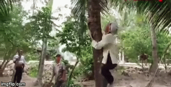 Video: Ngỡ ngàng xem cụ bà gần 80 tuổi thoăn thoắt leo ngọn cây hái dừa