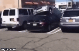 Hi hữu: Mercedes lao qua bụi cây, 