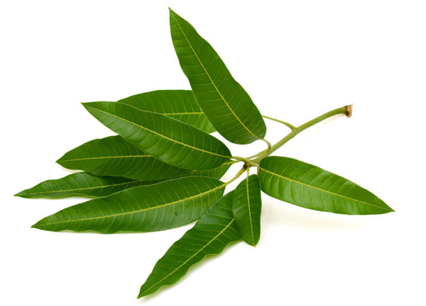 Đường huyết từ 10.8mmol/l giảm còn một nửa sau 5 tuần với Glutex - dành cho người tiểu đường