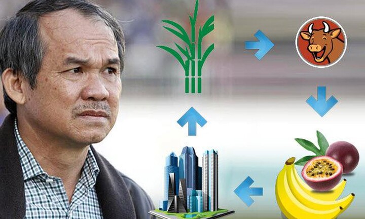 Dứt bỏ duyên nợ với bất động sản, bầu Đức mơ trở thành người trồng chuối hàng đầu châu Á