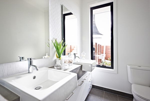 Đặt chậu cây này trong phòng tắm khử mùi hôi hiệu quả, muỗi cũng biến mất dạng