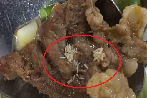 Rùng mình phát hiện cả ổ dòi trong suất cơm của công nhân ở Nghệ An