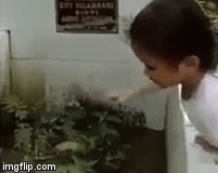 Video: Xót xa cảnh bé gái đứng trước mộ liên tục gọi người mẹ đã khuất