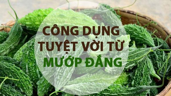 Cây mướp đắng chữa bệnh tiểu đường đúng không?