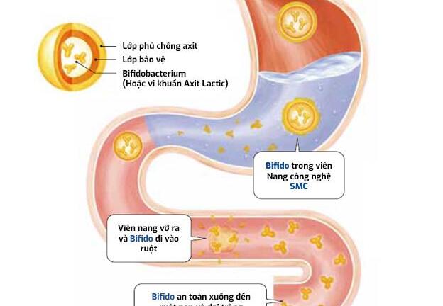 Học cách đối phó với viêm đại tràng của người Nhật