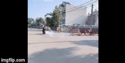 Video: Bị cả đàn bò đuổi theo vì nẹt pô xe, thanh niên vít ga chạy mất hút