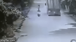 Video: Thanh niên chạy xe máy cố vượt lên trên container gây tai nạn thảm khốc