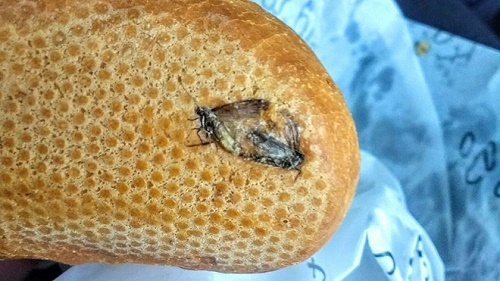 Người đàn ông hoảng hốt vì mua phải bánh mì kẹp ruồi nướng tại sân bay