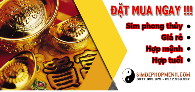 Thực hư chuyện sim phong thủy cải vận, đổi đời cho gia chủ?