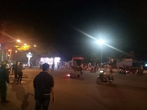 Bò 'điên' xổng chuồng, húc nhiều người bị thương