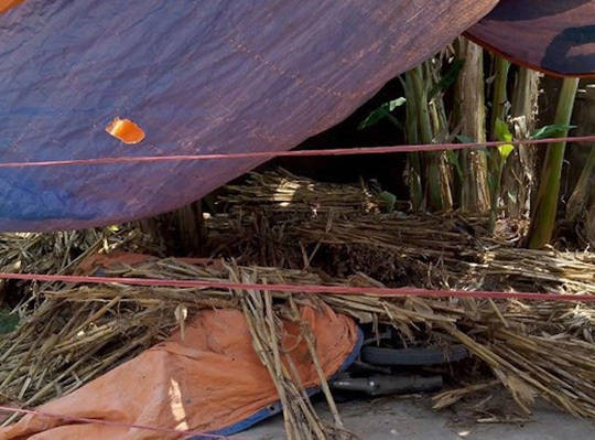 Khởi tố đối tượng giết anh họ giấu xác rồi cứa cổ 1 phụ nữ ở Nghệ An