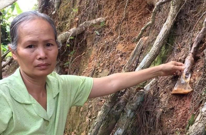 Tin tức pháp luật mới nhât hôm nay 30/5/2019: Bắt quả tang người “đầu độc” thông 3 lá