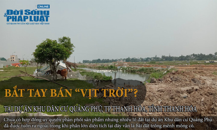 Đầu tư Đất nền Thanh Hóa tiềm năng, cơ hội và rủi ro nhà đầu tư cần biết