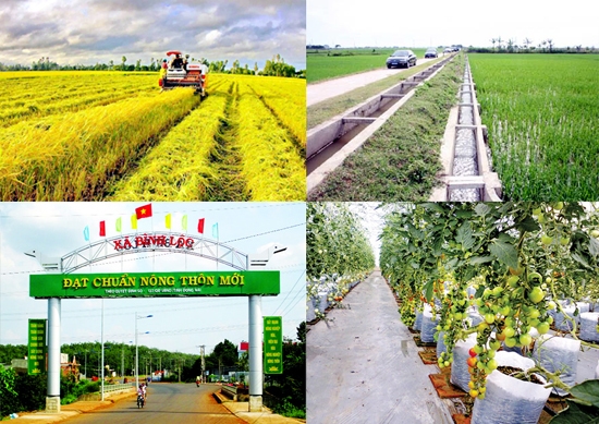 Phát động cuộc thi báo chí về phát triển nông nghiệp, nông thôn bền vững dành cho các nhà báo ASEAN