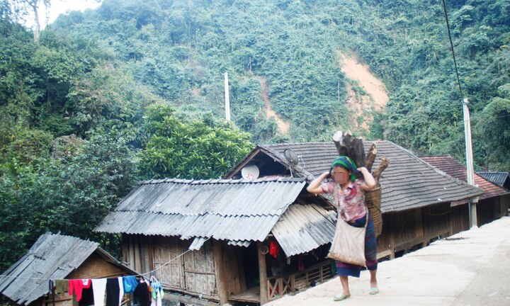 Tham giàu sang  bị 