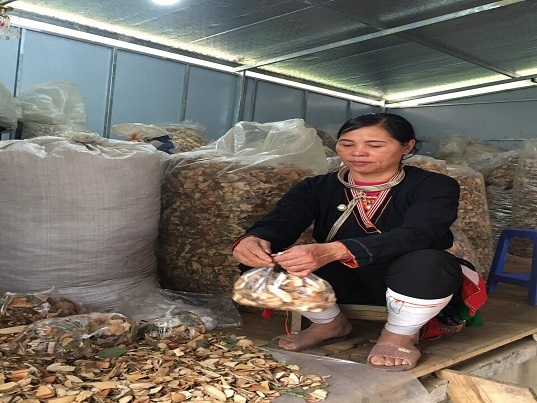 Nam y là cách an toàn và hiệu quả  để chữa cho bệnh nhân bị thoái hóa, thoát vị, viêm, gai, vôi