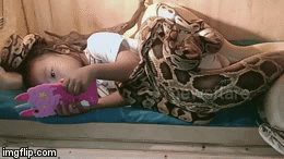 Video: Kinh hãi bé gái nằm chơi đùa với trăn khổng lồ