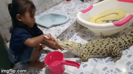 Video: Lạnh người xem bé gái thản nhiên ngồi đánh răng cho cá sấu