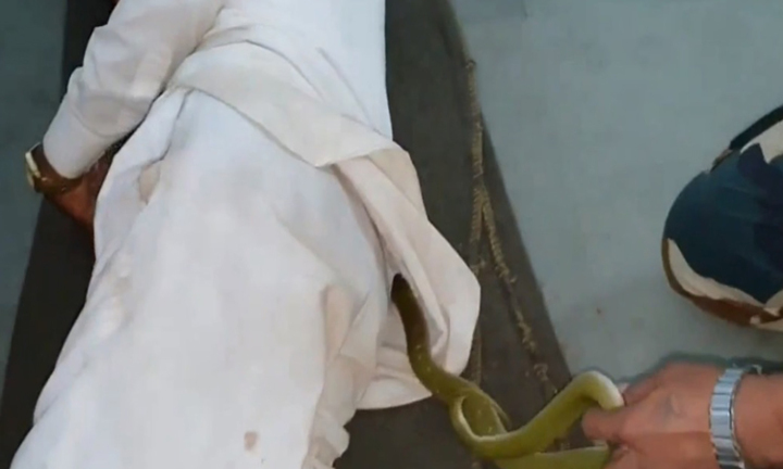 Video: Rắn độc chui vào áo, người đàn ông vẫn nằm ngủ không hay biết gì