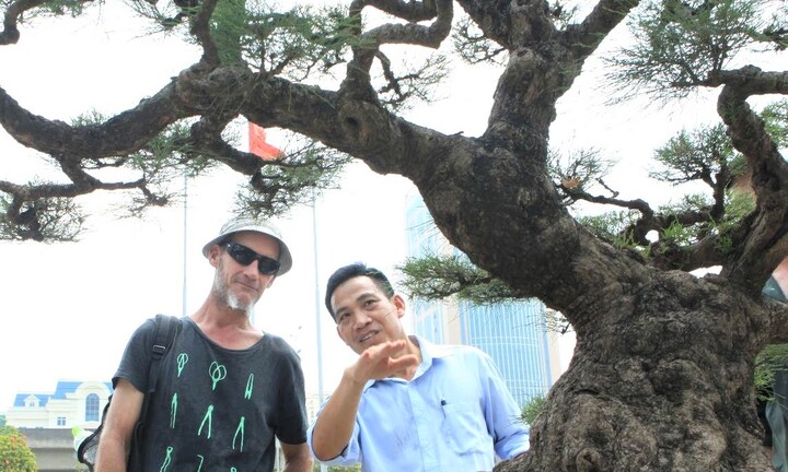 Hội nhập cây cảnh nghệ thuật, bonsai Quốc tế: Cách tiếp cận nào phù hợp với Việt Nam