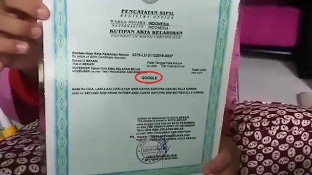 Cậu bé mang tên Google khiến cả thế giới kinh ngạc