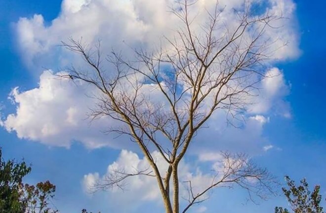 Đừng để thông tin trên mạng ảo làm chao đảo cuộc sống thật