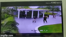 Video: Trổ tài phá tổ ong nhưng sai kỹ thuật, nhóm thanh niên phải bỏ chạy thục mạng