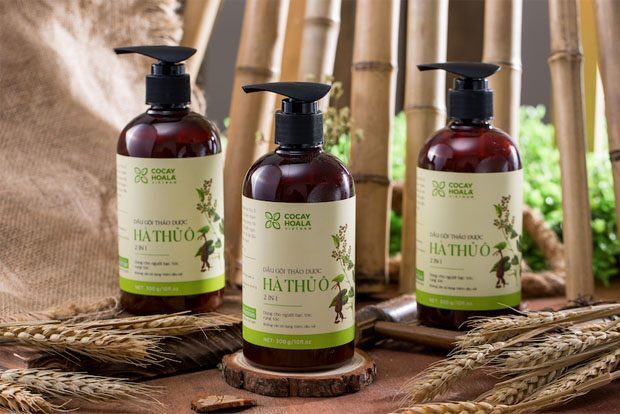Sử dụng dầu gội hà thủ ô có tốt không?
