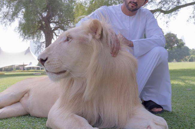 Video: Choáng ngợp với thú chơi xa xỉ của Hoàng tử Dubai