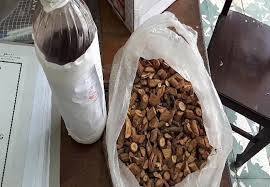 Khánh Hòa: 3 người tử vong, 2 nạn nhân nguy kịch vì uống rượu ngâm hạt trái cây rừng