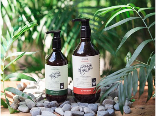 Giữ gìn hạnh phúc gia đình chỉ bằng... bí quyết trị tóc rụng