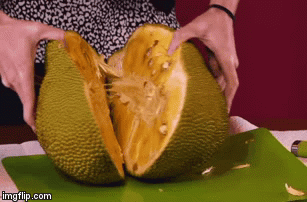 Mẹo làm sạch nhựa mít dính vào tay, quần áo, dao cực nhanh 