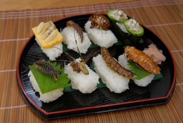 Những món ăn hãi hùng từ côn trùng nhưng lại đẩy lùi ung thư cực kỳ hiệu quả