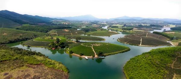 Xem xét thu hồi dự án 1.500 tỷ đồng trên đảo chè Thanh Chương của Cienco 4