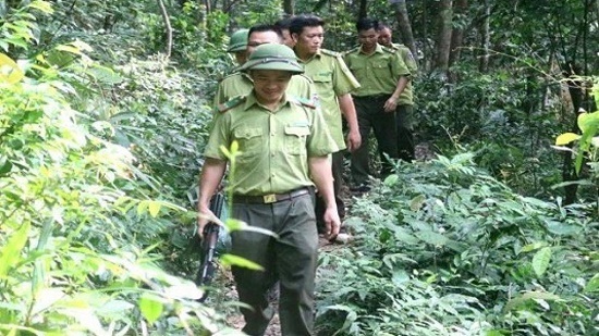 Bắc Giang: Truy đuổi lâm tặc, cán bộ kiểm lâm bị chém trọng thương