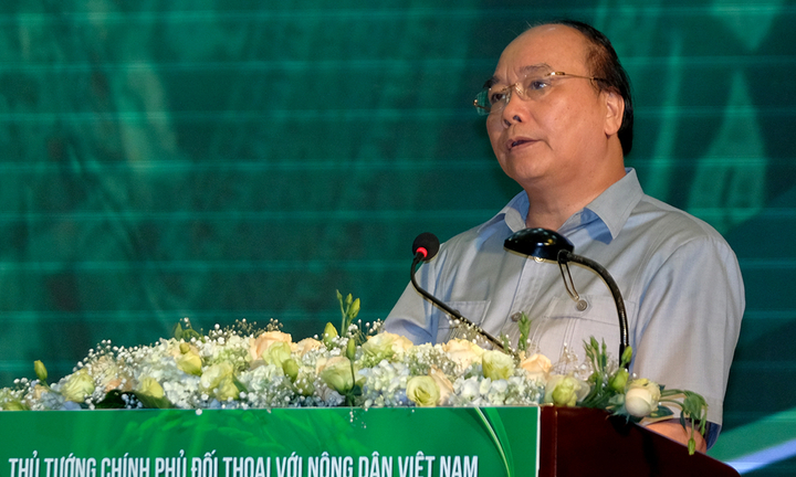 Tăng cường đầu tư vào nông nghiệp hiệu quả, an toàn và bền vững