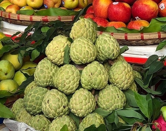 Na đầu mùa được giá, người nông dân trúng quả