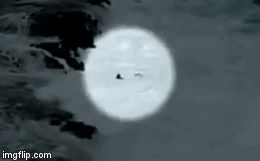 Vô tư chụp ảnh trên vách đá, cặp đôi bị sóng đánh 