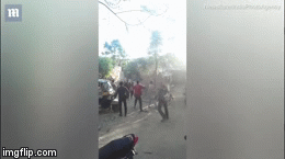 Video: Kinh hãi sư tử đực điên cuồng tấn công một ngôi làng ở Ấn Độ