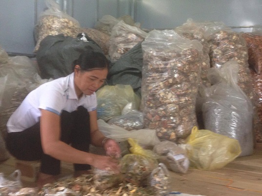 Người mang thần dược chữa khỏi chứng tê, nhức, mỏi,… xương khớp đi muôn phương