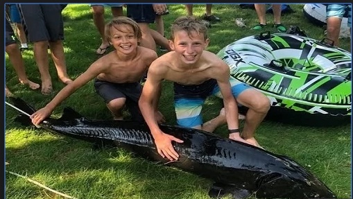 Video: Hai cần thủ nhí nhanh trí dùng thòng lọng tóm gọn cá tầm dài 2 mét