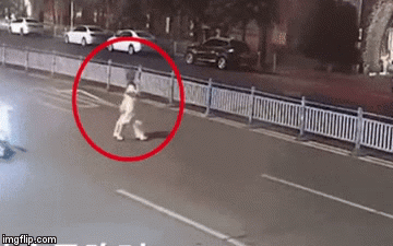 Video: Kinh hoàng hai cô gái bị ô tô hất văng lên không trung, lộn vài vòng trước khi rơi xuống đất