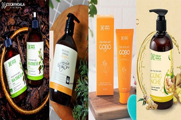 4 loại thảo dược làm đẹp có thể thay đổi cuộc sống của bạn