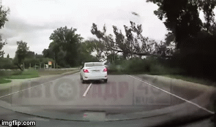 Video: Tài xế đánh lái ngoạn mục tránh cây đổ xuống đường