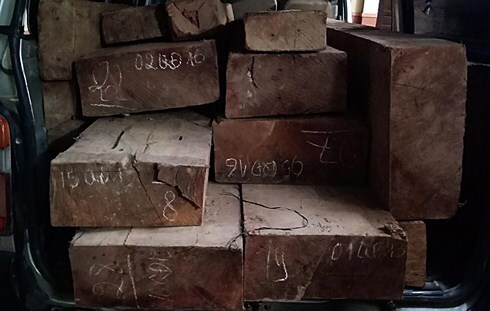 Hơn 1 tiếng đồng hồ truy đuổi nghẹt thở xe chở gỗ lậu của CSGT Quảng Nam