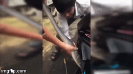 Video: Người đàn ông tay không lôi rắn 