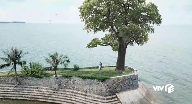 Bị chê cầu hôn sến sẩm bên cây giả, Quốc Trường nói gì?