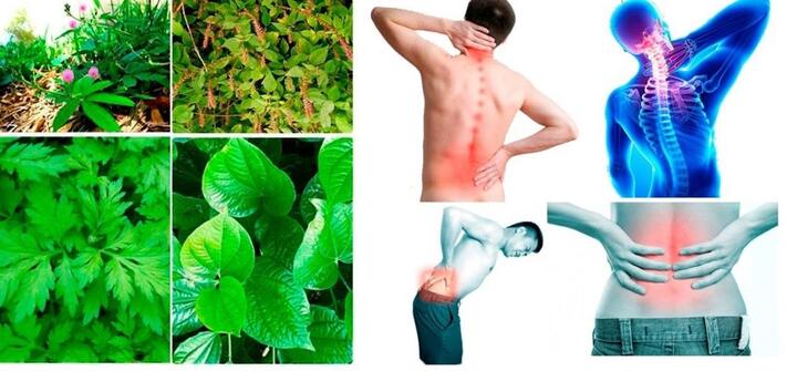 Tìm hiểu cách chữa thoát vị đĩa đệm bằng phương pháp dân gian 