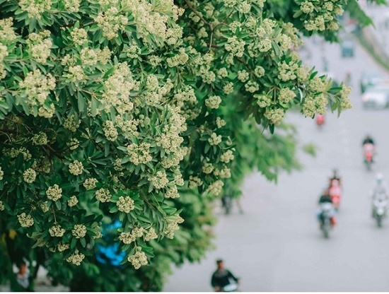 Tin tức dự báo thời tiết mới nhất hôm nay 16/8/2019: Hà Nội có mưa rào và dông